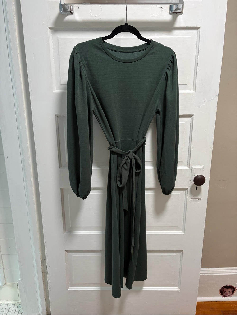 Zara Dark Green Long Sleeve Tie-Waist Midi Dress